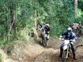Watagans1