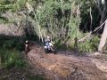 IMG 2604