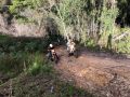 IMG 2607