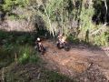 IMG 2608