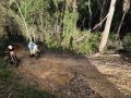IMG 2611