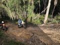 IMG 2612