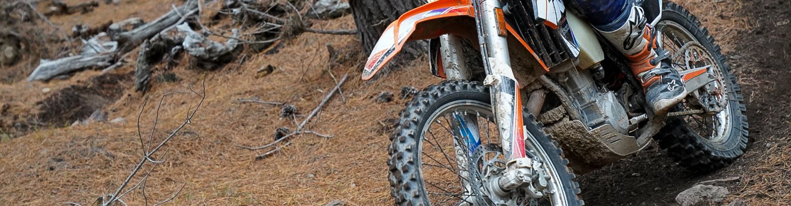 Kowen Forest Ride 2024